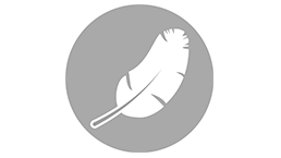 Leichter als Kugelumlaufführungen