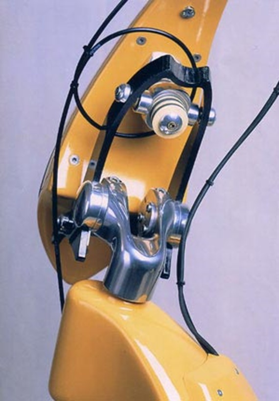 Lenker des Roller "Zoob"