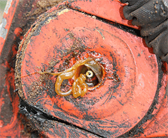 Foto von Mangelschmierung