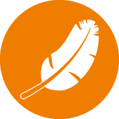 Leichte Linearführung drylin W