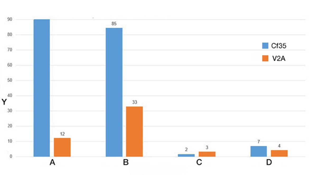 Verschleißtest linear
